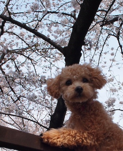 2013_3_22_3.jpg