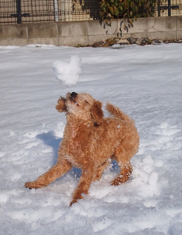 2013_3_27_5.jpg