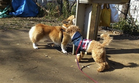 2013_3_29_2.jpg