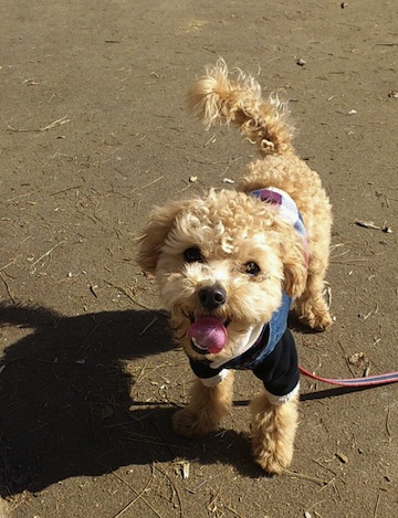 2013_3_29_3.jpg