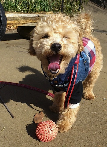 2013_3_29_4.jpg