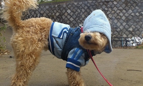 2013_4_14_1.jpg