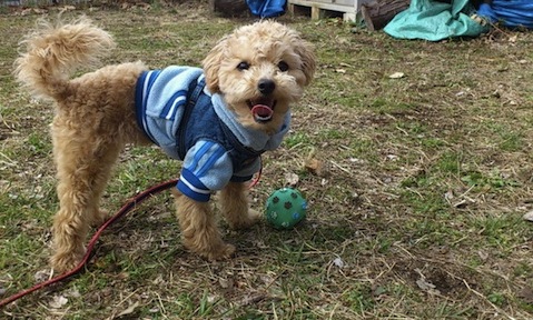 2013_4_14_2.jpg