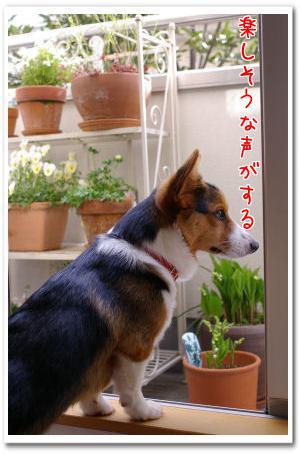 7nPv_1JYiuhVSBM1367020655_1367020732.jpg