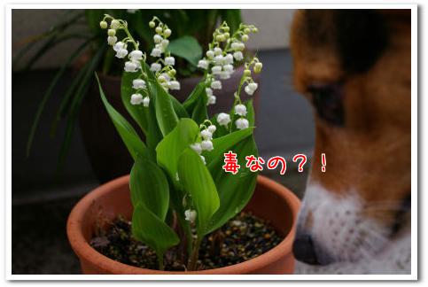 9bBmT7Qg3U5O9pW1367020404_1367020578.jpg