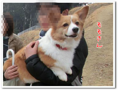 VCgKsbYaN9XXXxC1391517320_1391517447.png