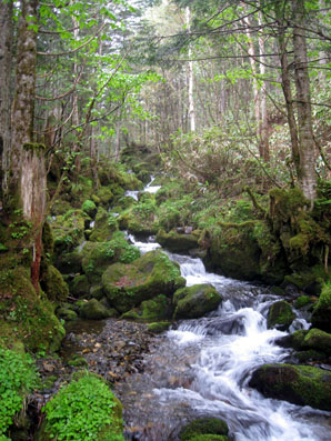 120604fs.jpg