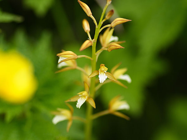 120615e.jpg