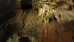 DSC02698.jpg