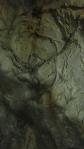 DSC02740.jpg