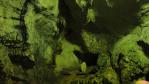 DSC02752.jpg