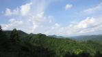 DSC02785.jpg