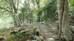 DSC02789.jpg