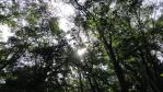 DSC02791.jpg