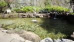 DSC02874.jpg
