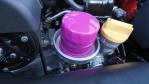 DSC02944.jpg