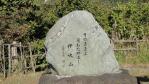 DSC03019.jpg