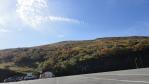 DSC03033.jpg