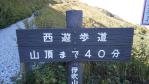 DSC03037.jpg