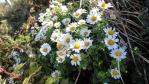 DSC03060.jpg