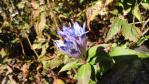DSC03077.jpg