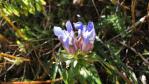 DSC03087.jpg