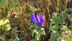DSC03089.jpg