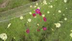 DSC03123.jpg