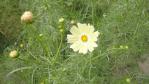 DSC03124.jpg
