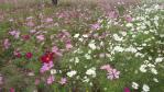 DSC03129.jpg