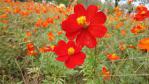 DSC03131.jpg