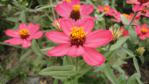 DSC03133.jpg