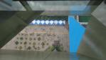 DSC03146.jpg