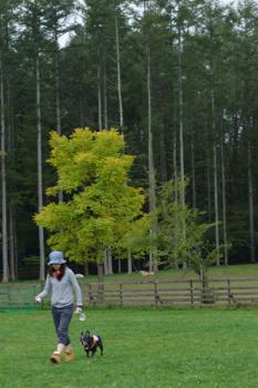 120922-6.jpg