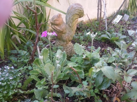 花