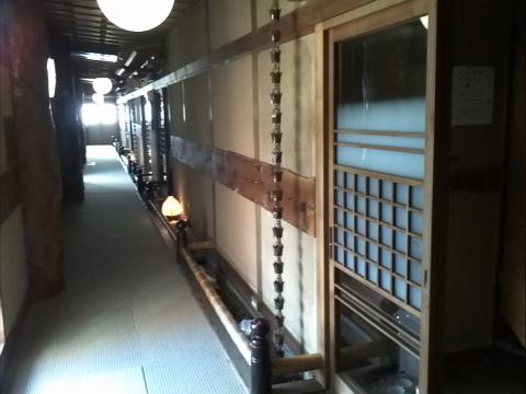 IMG_20130410_093316.jpg