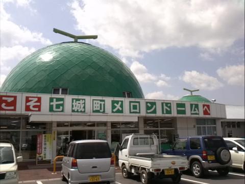 IMG_20130410_112556.jpg