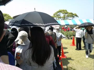 IMG_20130512_131139.jpg
