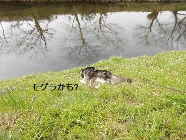 03254.jpg