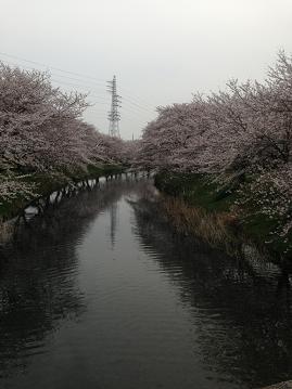 032905.jpg