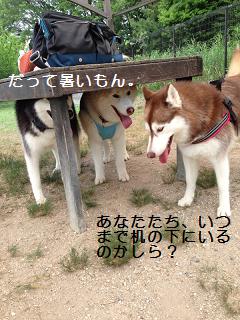 060208.jpg