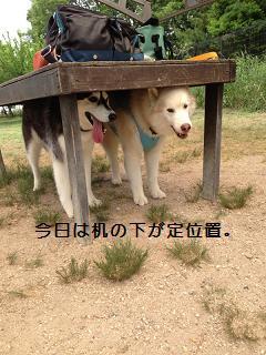 060209.jpg
