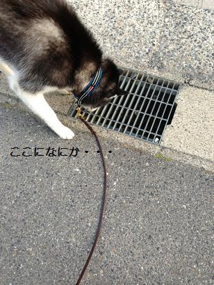 060701.jpg