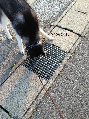 060901.jpg