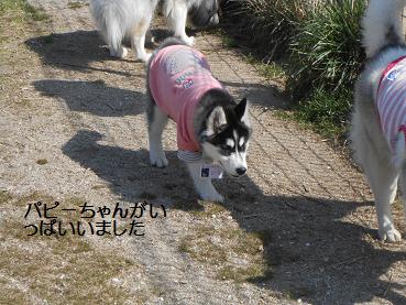 春4
