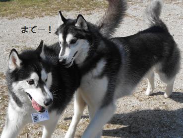 春2