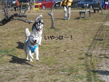 春1