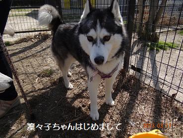 春15