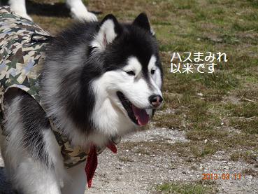 春21