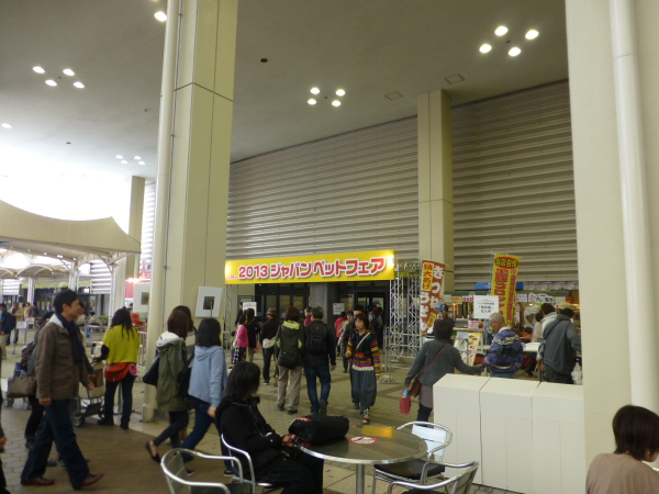 2_20130331211957.jpg